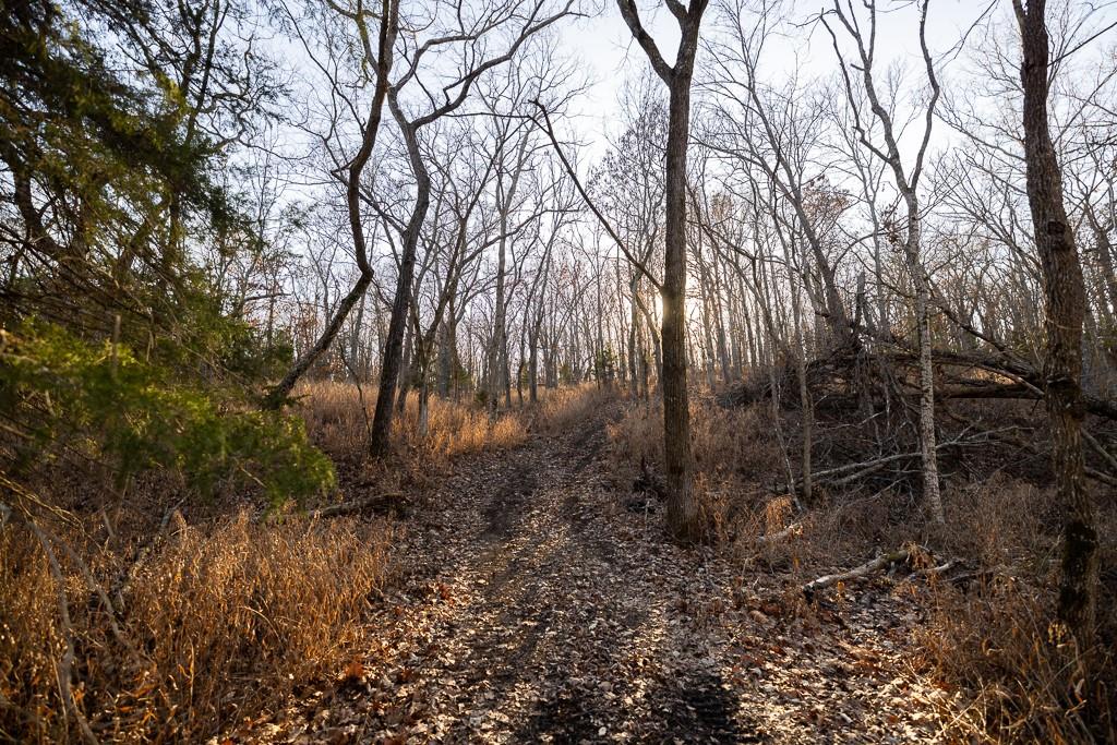 Waisner Avenue Edwards, MO 65326 - Photo 45 of 66