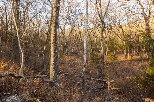 $641,875 | Waisner Avenue, Edwards, MO 65326