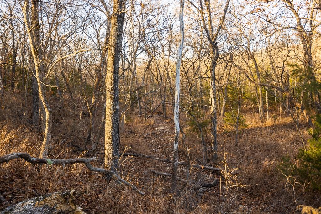 Waisner Avenue Edwards, MO 65326 - Photo 46 of 66