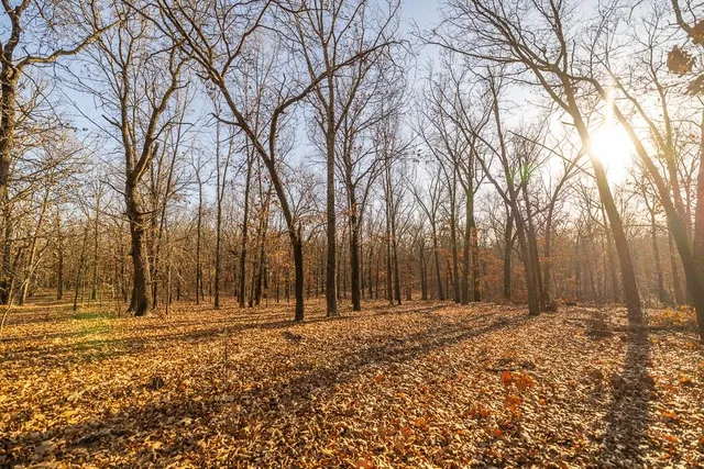 $641,875 | Waisner Avenue, Edwards, MO 65326