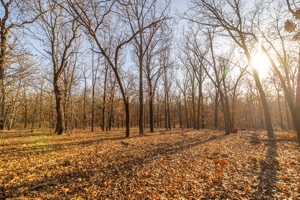 Waisner Avenue Edwards, MO 65326 - Photo 47 of 66