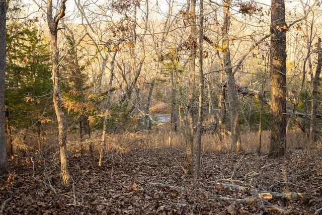 $641,875 | Waisner Avenue, Edwards, MO 65326