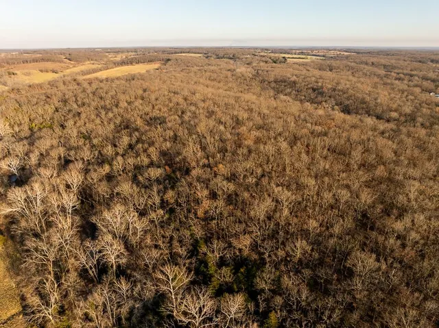 $641,875 | Waisner Avenue, Edwards, MO 65326