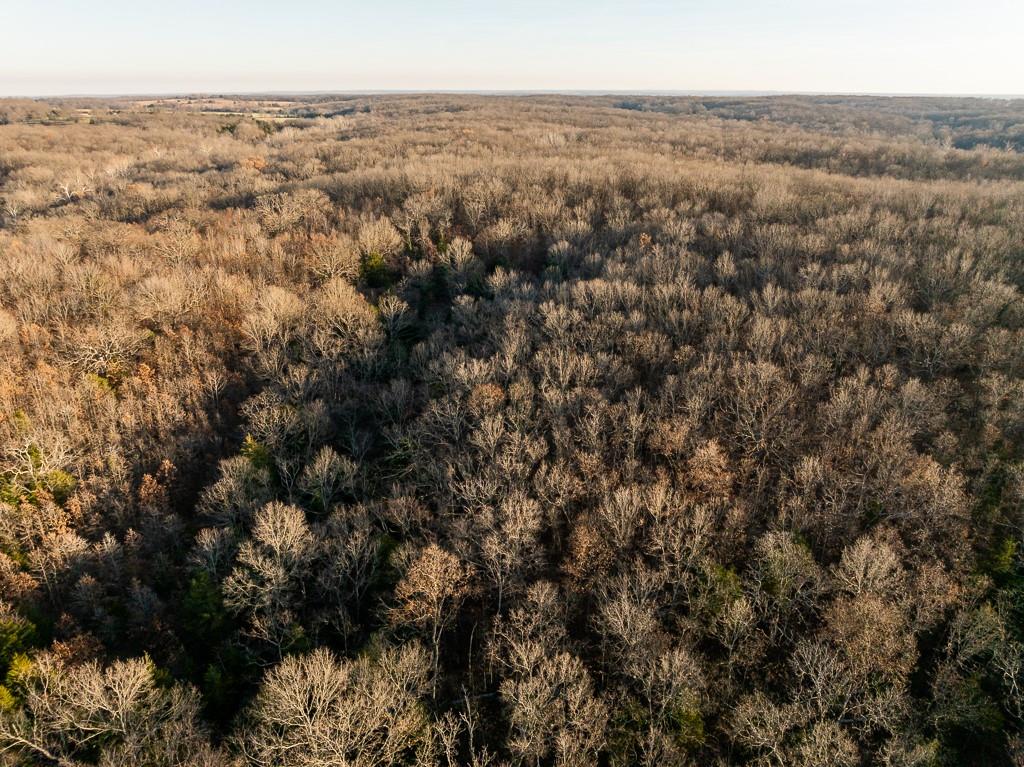 Waisner Avenue Edwards, MO 65326 - Photo 5 of 66