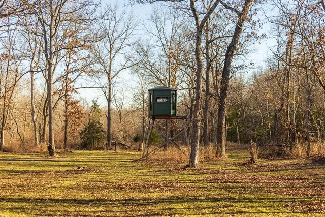 $641,875 | Waisner Avenue, Edwards, MO 65326