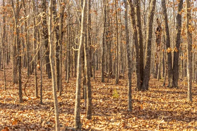 $641,875 | Waisner Avenue, Edwards, MO 65326