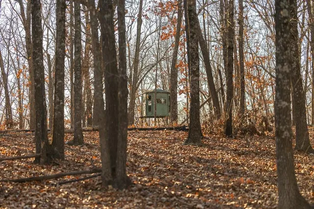 $641,875 | Waisner Avenue, Edwards, MO 65326