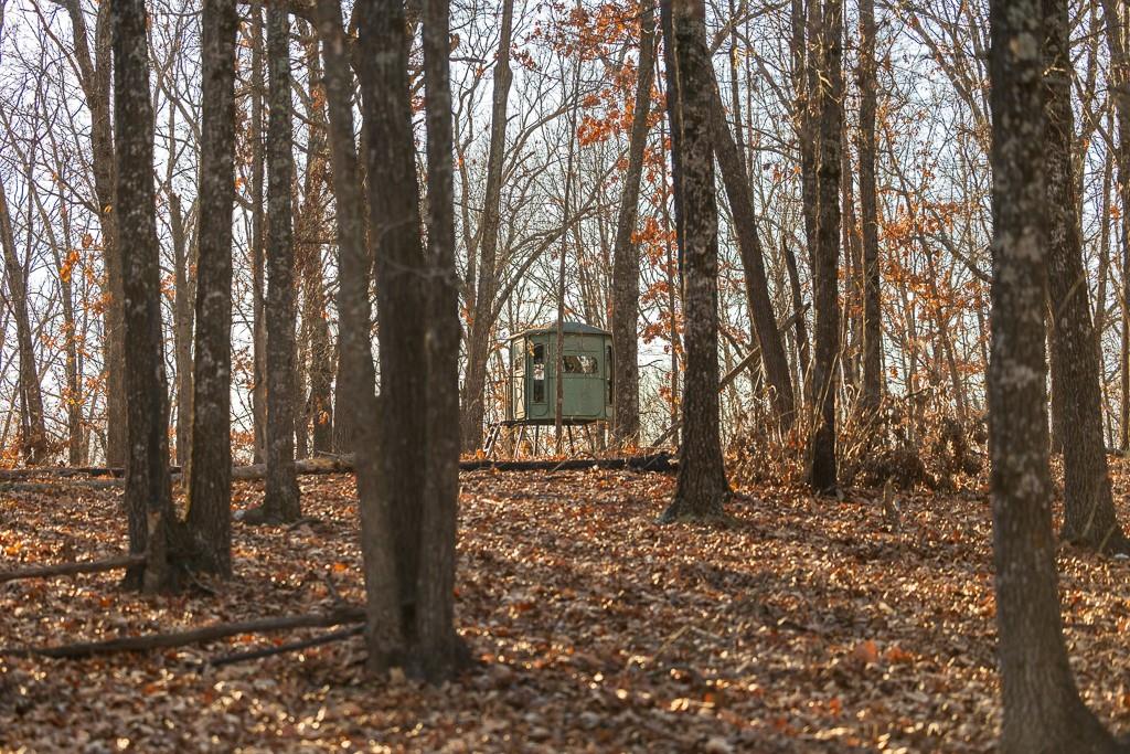 Waisner Avenue Edwards, MO 65326 - Photo 54 of 66