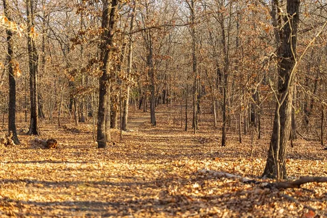 $641,875 | Waisner Avenue, Edwards, MO 65326