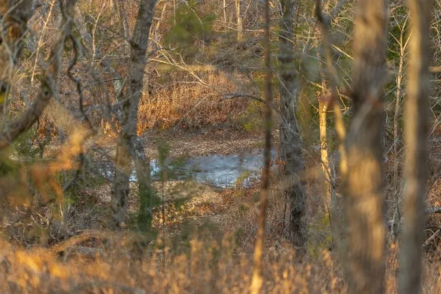 $641,875 | Waisner Avenue, Edwards, MO 65326