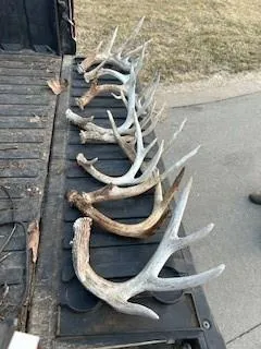 $641,875 | Waisner Avenue, Edwards, MO 65326