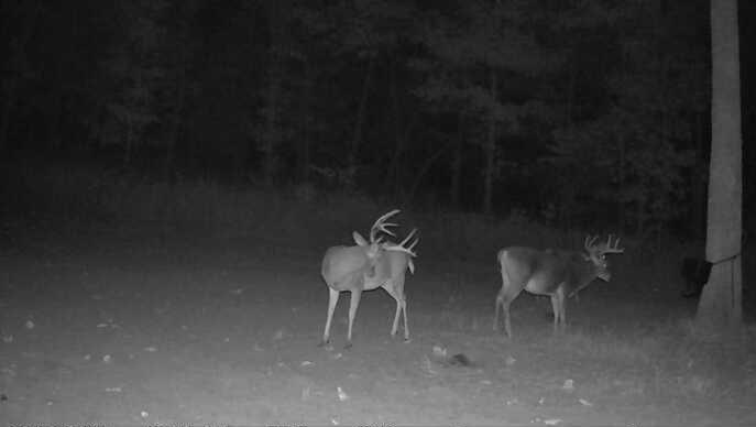 Waisner Avenue Edwards, MO 65326 - Photo 60 of 66