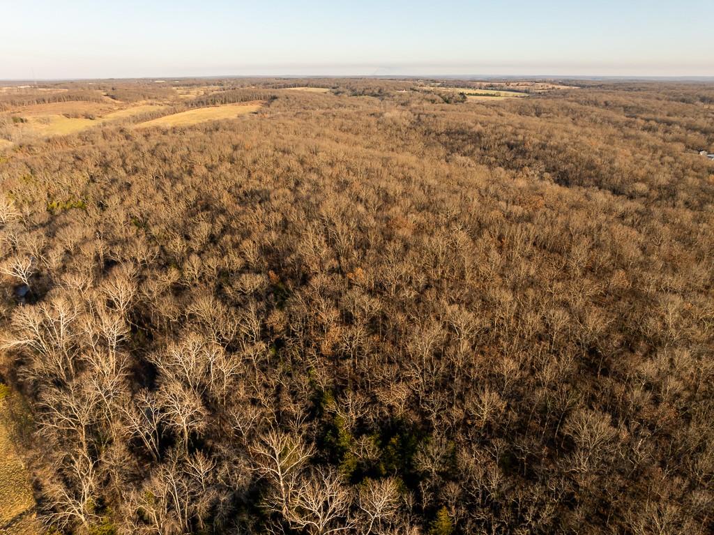 Waisner Avenue Edwards, MO 65326 - Photo 6 of 66