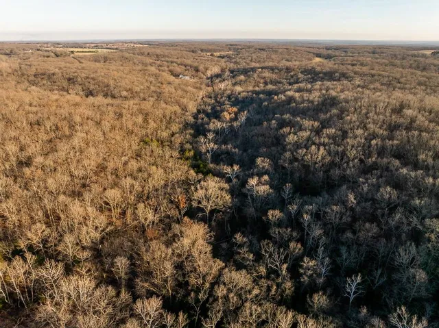 $641,875 | Waisner Avenue, Edwards, MO 65326