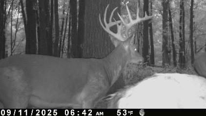 Waisner Avenue Edwards, MO 65326 - Photo 62 of 66