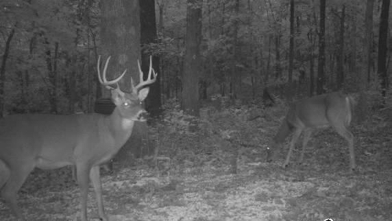 Waisner Avenue Edwards, MO 65326 - Photo 66 of 66