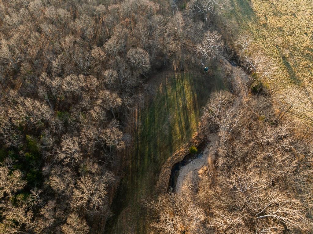 Waisner Avenue Edwards, MO 65326 - Photo 8 of 66