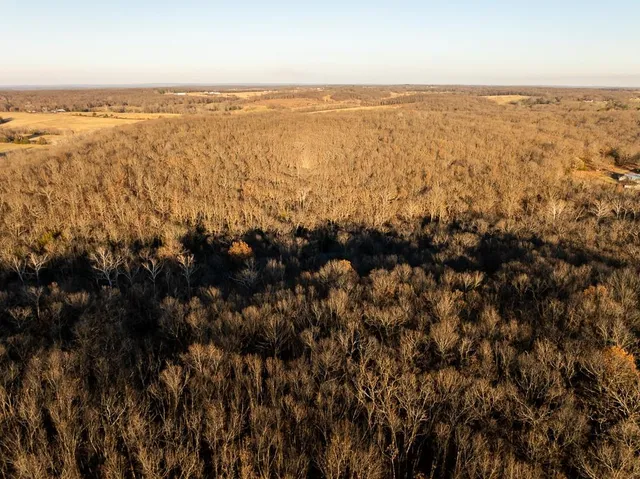 $641,875 | Waisner Avenue, Edwards, MO 65326