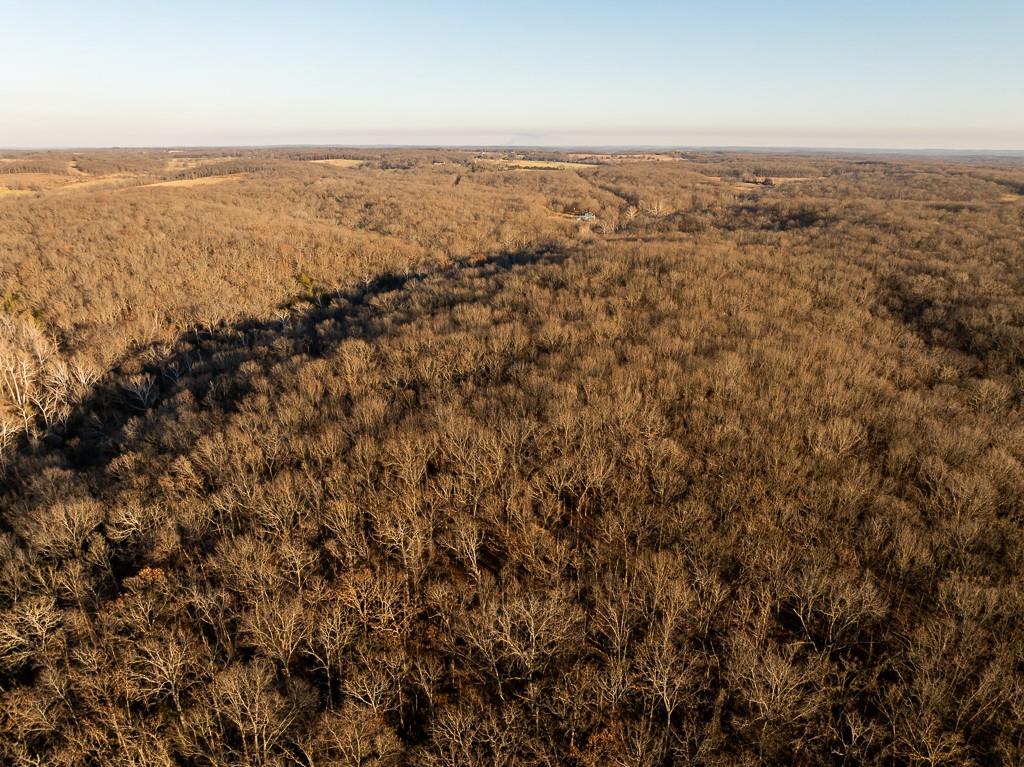 Waisner Avenue Edwards, MO 65326 - Photo 9 of 66