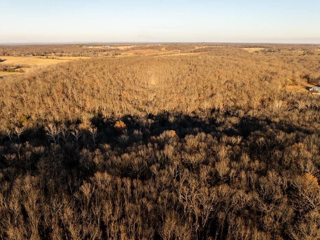 Waisner Avenue Edwards, MO 65326 - Photo 10 of 66