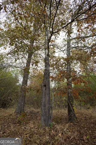 $665,000 | 11625 Highway 68, Gaylesville, AL 35973