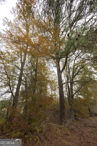 $665,000 | 11625 Highway 68, Gaylesville, AL 35973