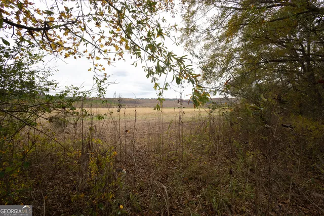 $665,000 | 11625 Highway 68, Gaylesville, AL 35973