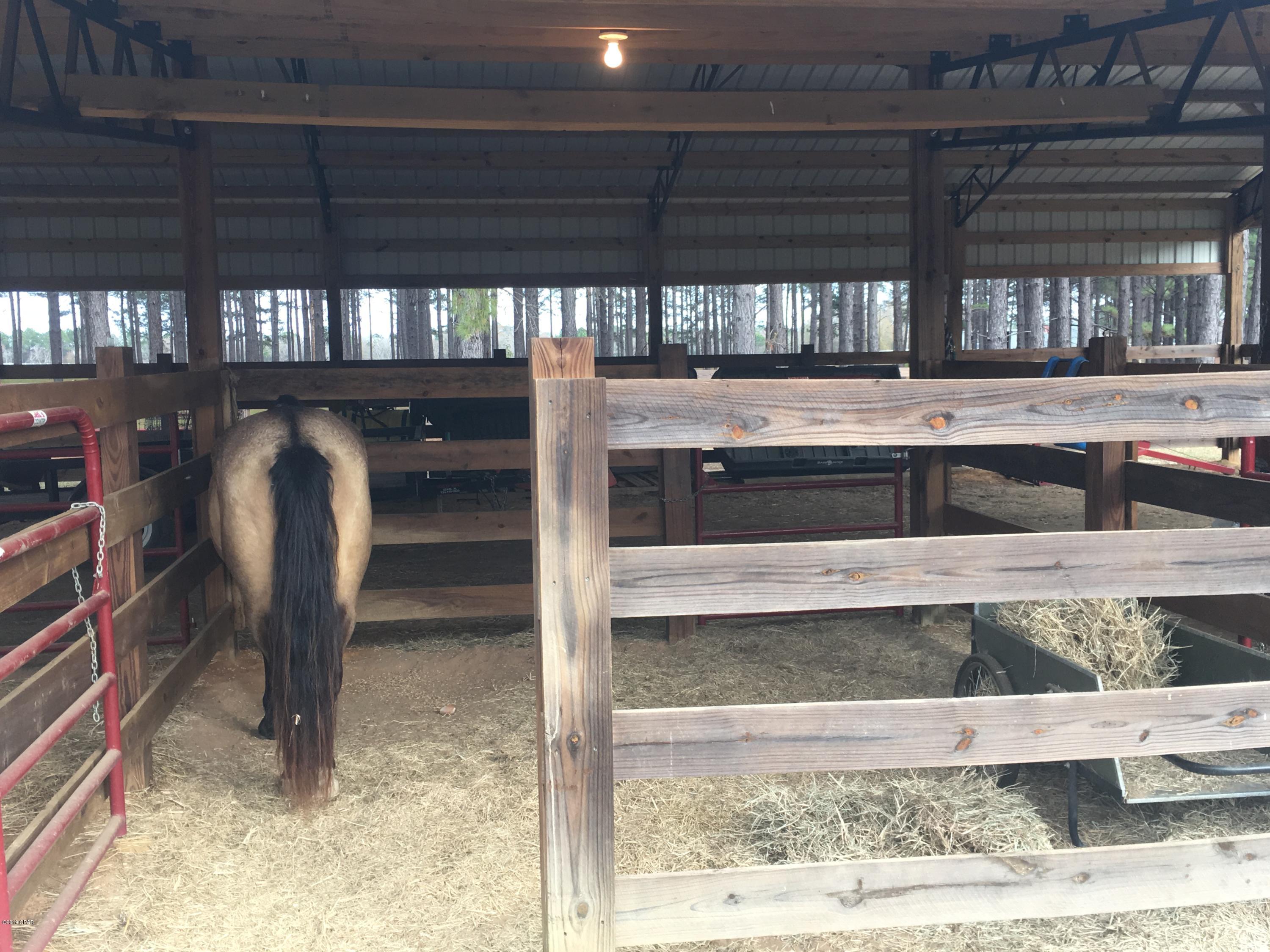 4165 Smokey Road Cottondale, FL 32431 - Photo 89 of 99