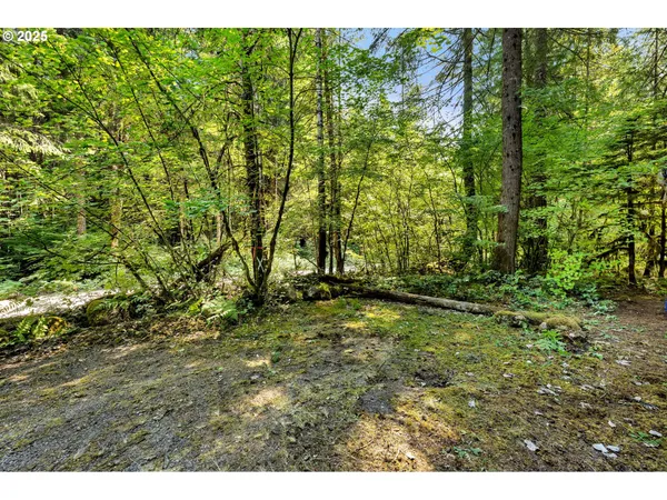 $149,000 | 174 Northwoods, Cougar, WA 98616