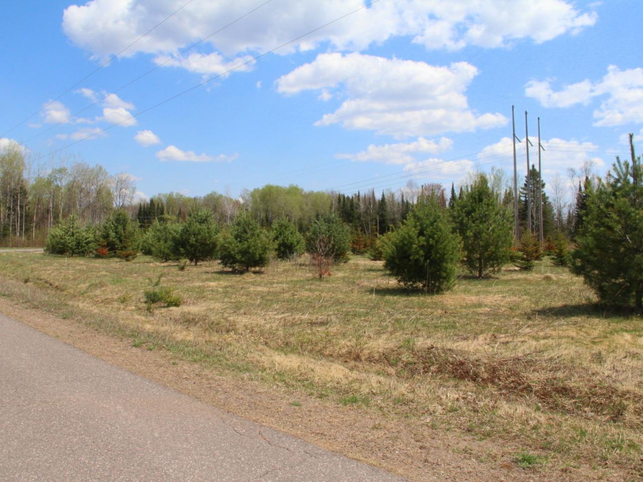 Lot20-21 Weber Lake Road Mercer, WI 54547 - Photo 6 of 15 Gallery Image 6