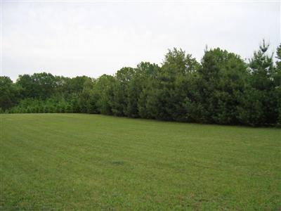 Primary Photo