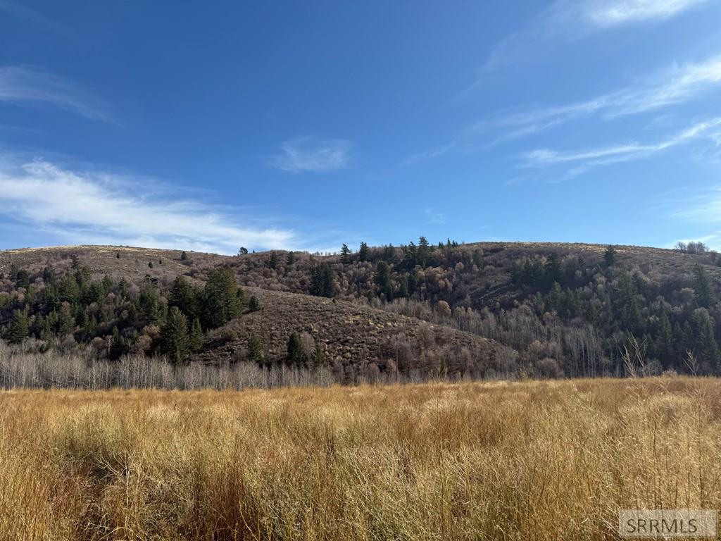 Tbd Pocatello Creek Road Pocatello, ID 83201 - Photo 14 of 17
