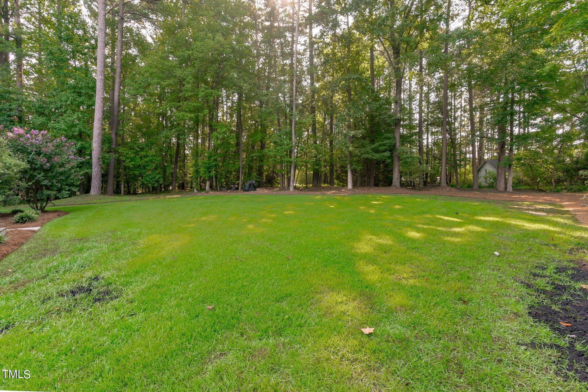 933 Elbridge Drive Raleigh, NC 27603 - Photo 36 of 46 B-6