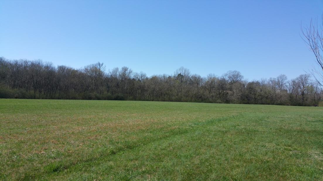 4 Arthur Sampson Road Columbia, TN 38401 - Photo 1 of 1 a view of a field with trees in background