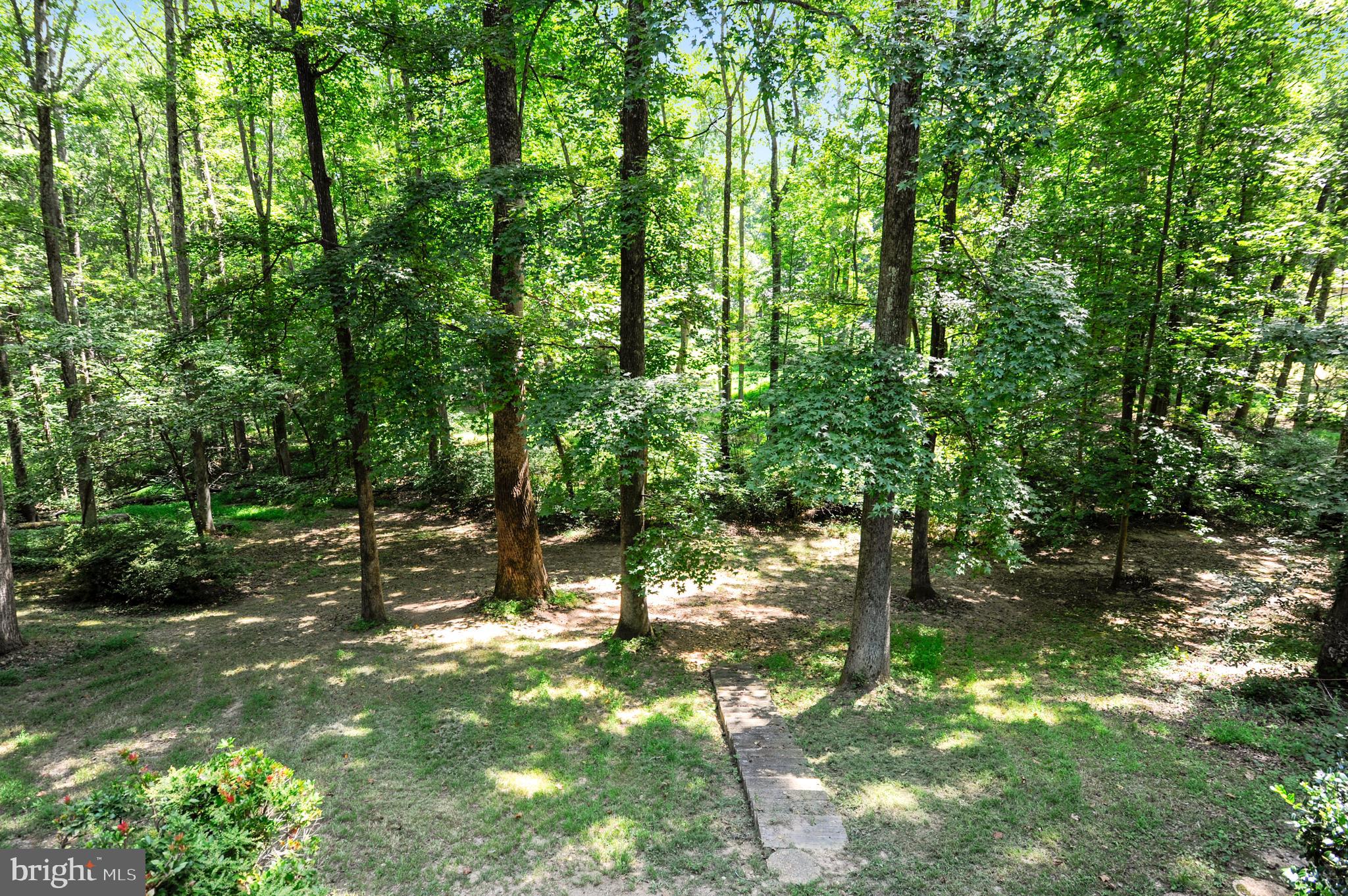 6755 Bensville Road Pomfret, MD 20675 - Photo 4 of 49 Rear yard leads to a creek
