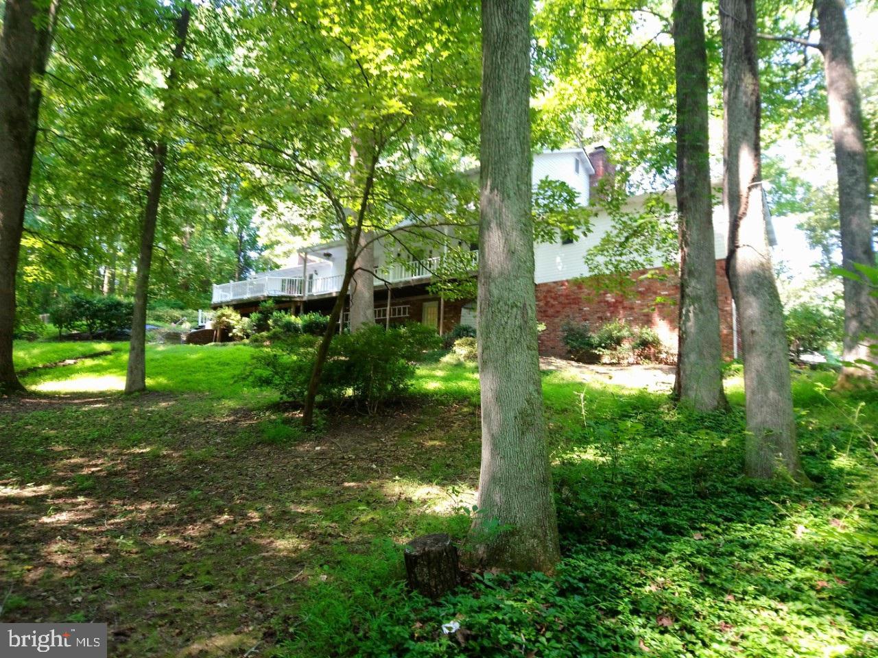 6755 Bensville Road Pomfret, MD 20675 - Photo 31 of 49 Large private rear yard