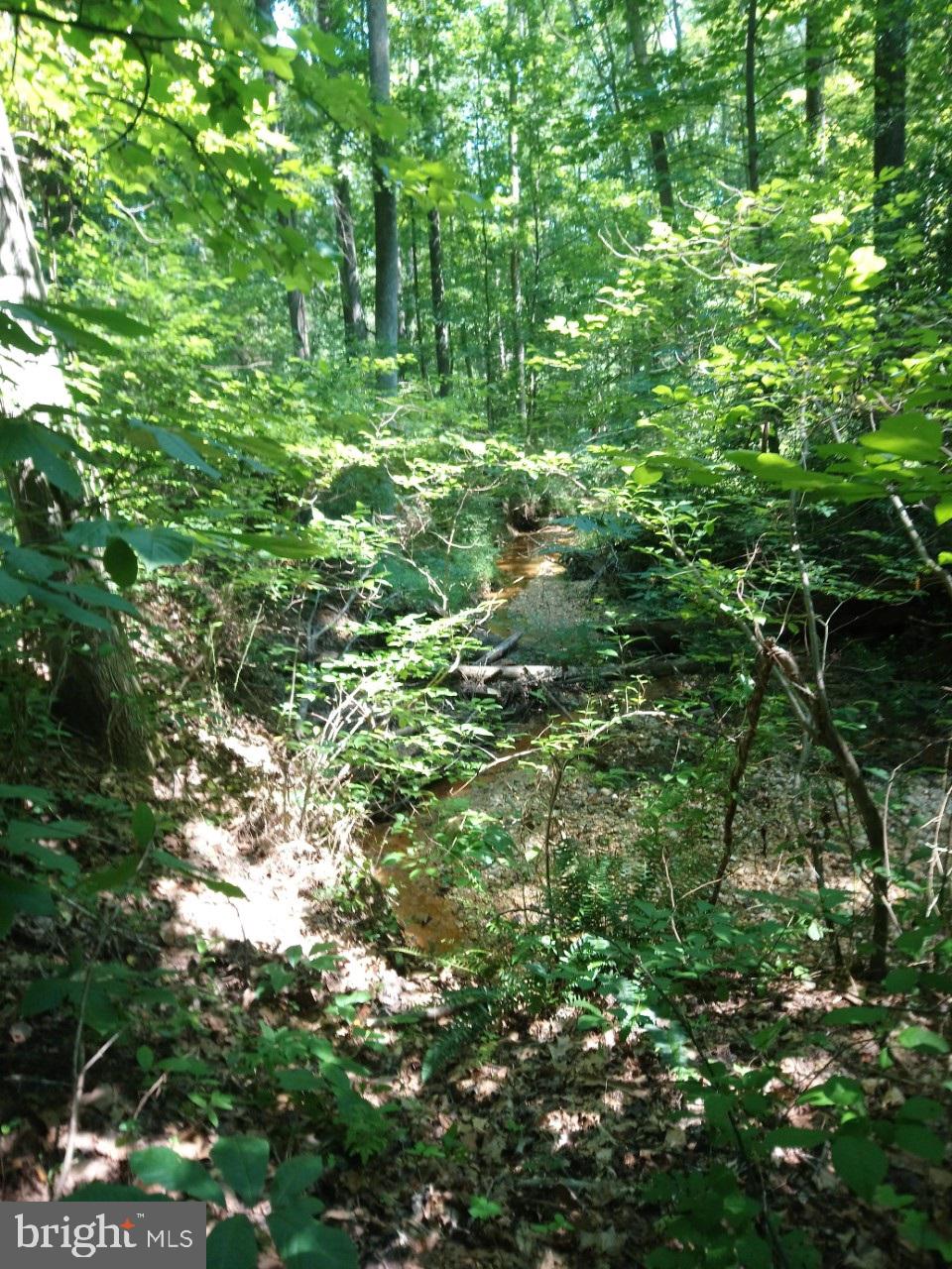 6755 Bensville Road Pomfret, MD 20675 - Photo 34 of 49 Creek running through the rear yard