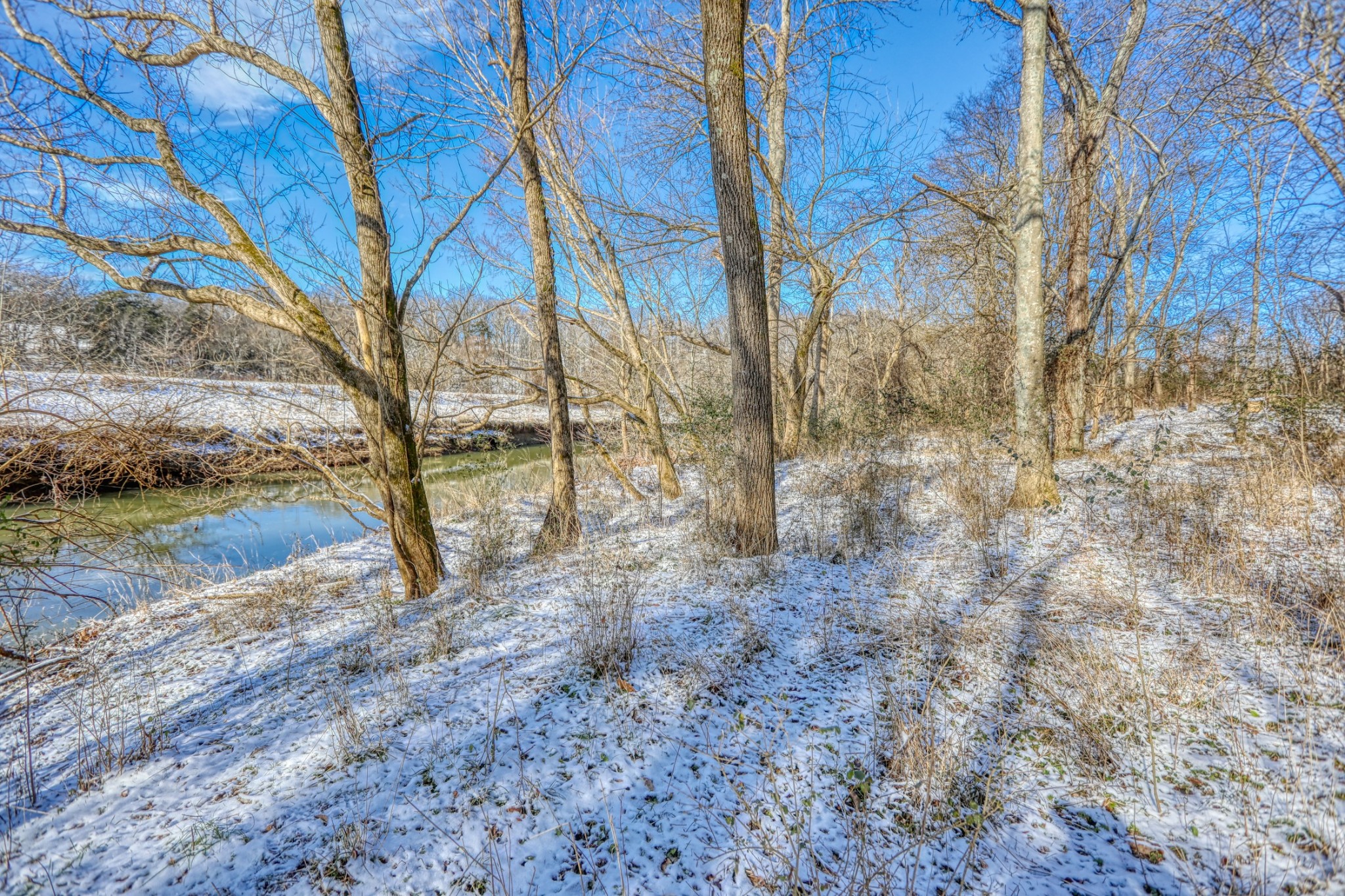7707 Bob Carr Road Cross Plains, TN 37049 - Photo 20 of 49 a view of a yard with plants and trees
