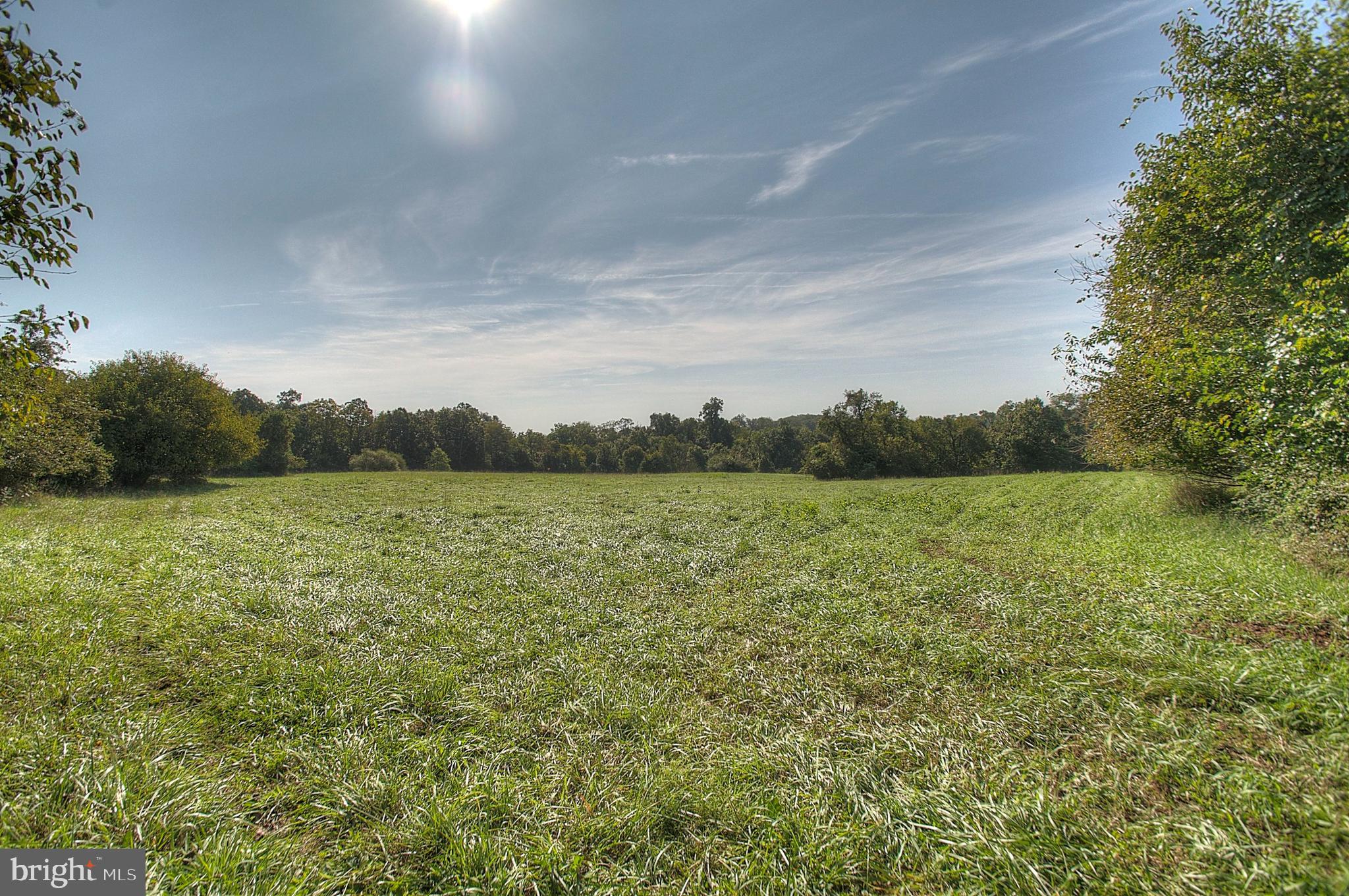 16027 Partnership Road Poolesville, MD 20837 - Photo 6 of 7