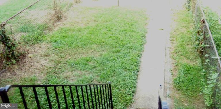 Back yard