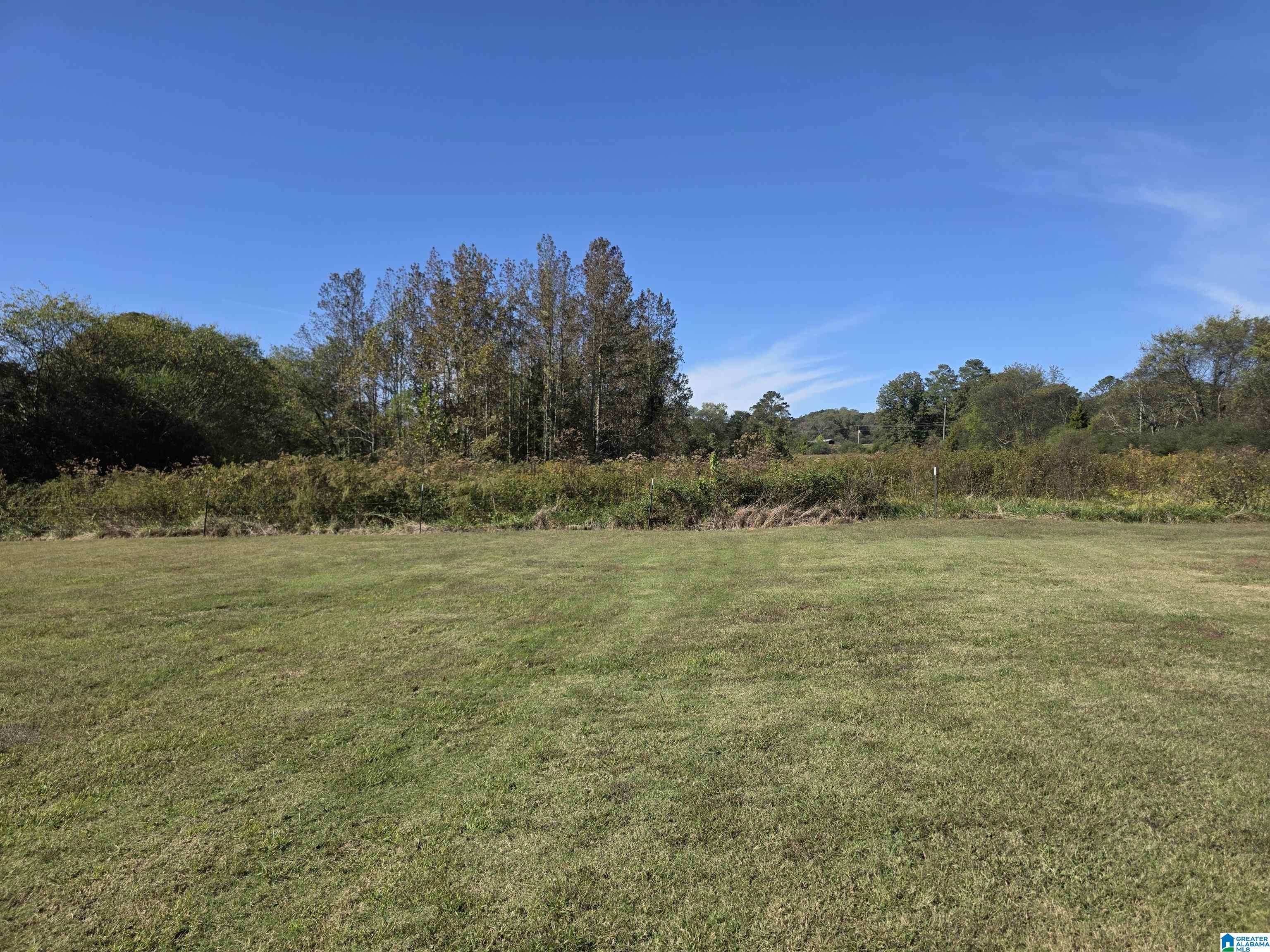 226 Old 227 Road Langston, AL 35755 - Photo 15 of 50