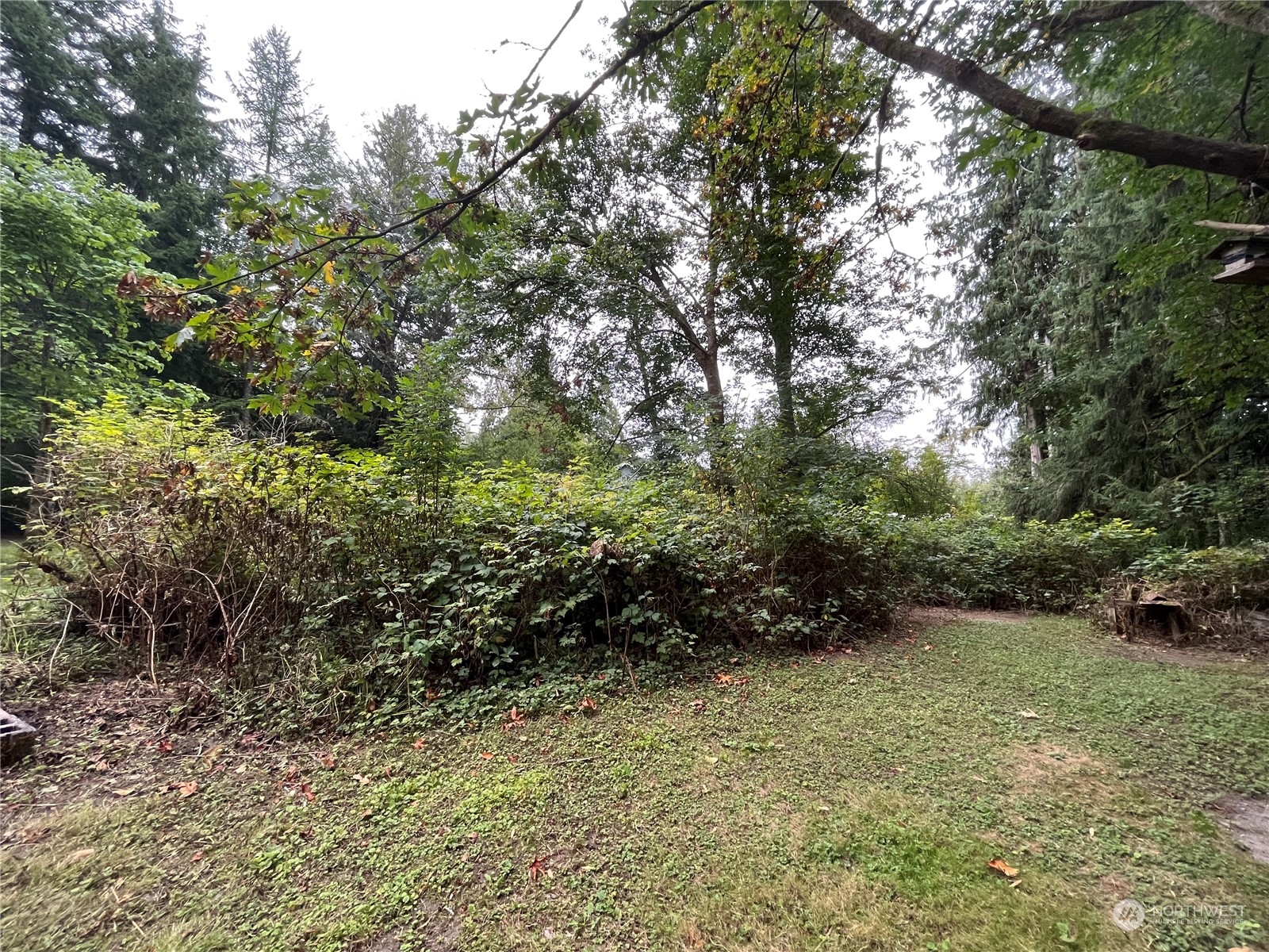 2216 Butler Creek Road Sedro-Woolley, WA 98284 - Photo 9 of 21