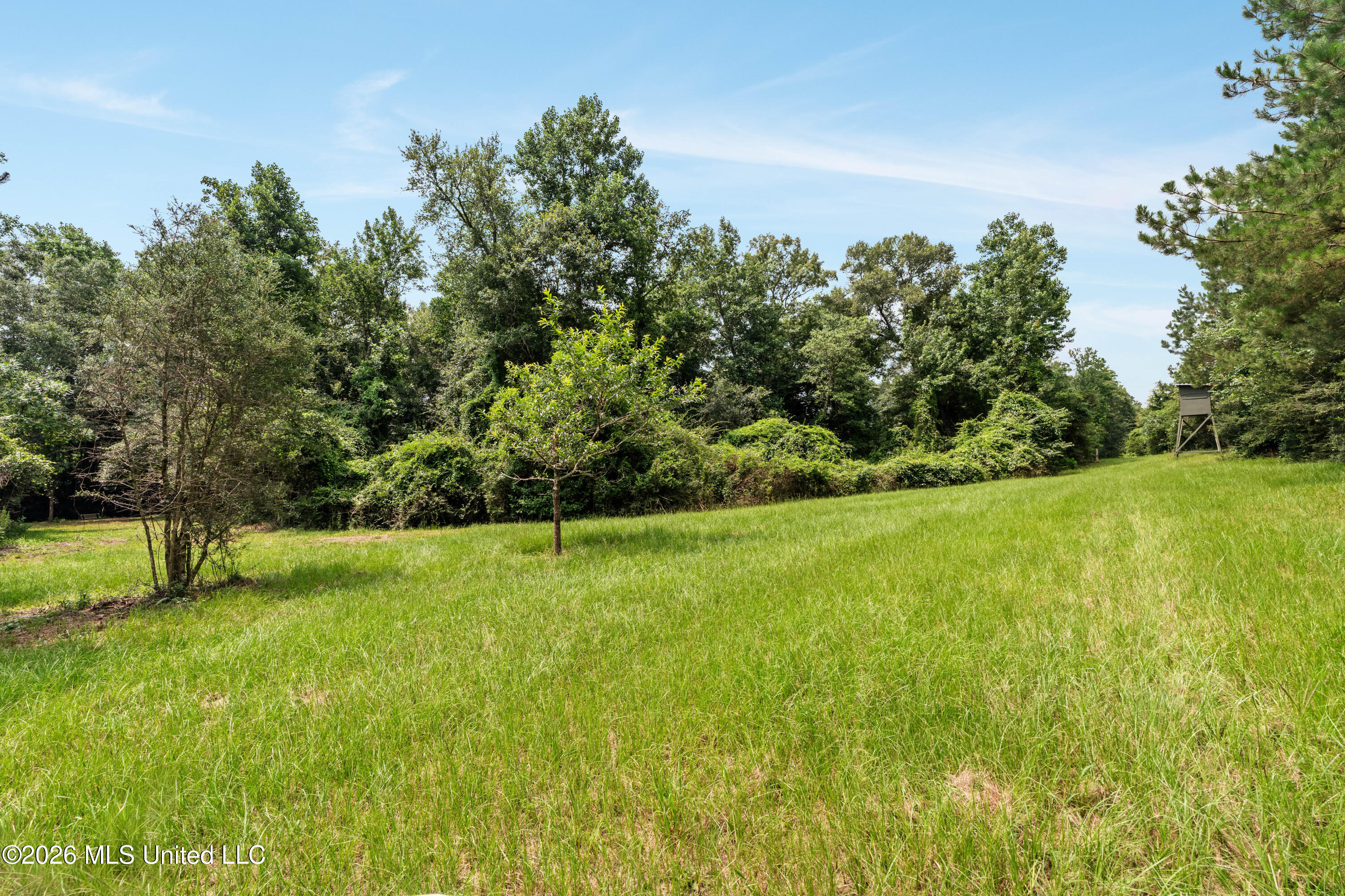 232 Knoxo Columbia Road Tylertown, MS 39667 - Photo 84 of 120 232_Knoxo_Columbia_Rd-83