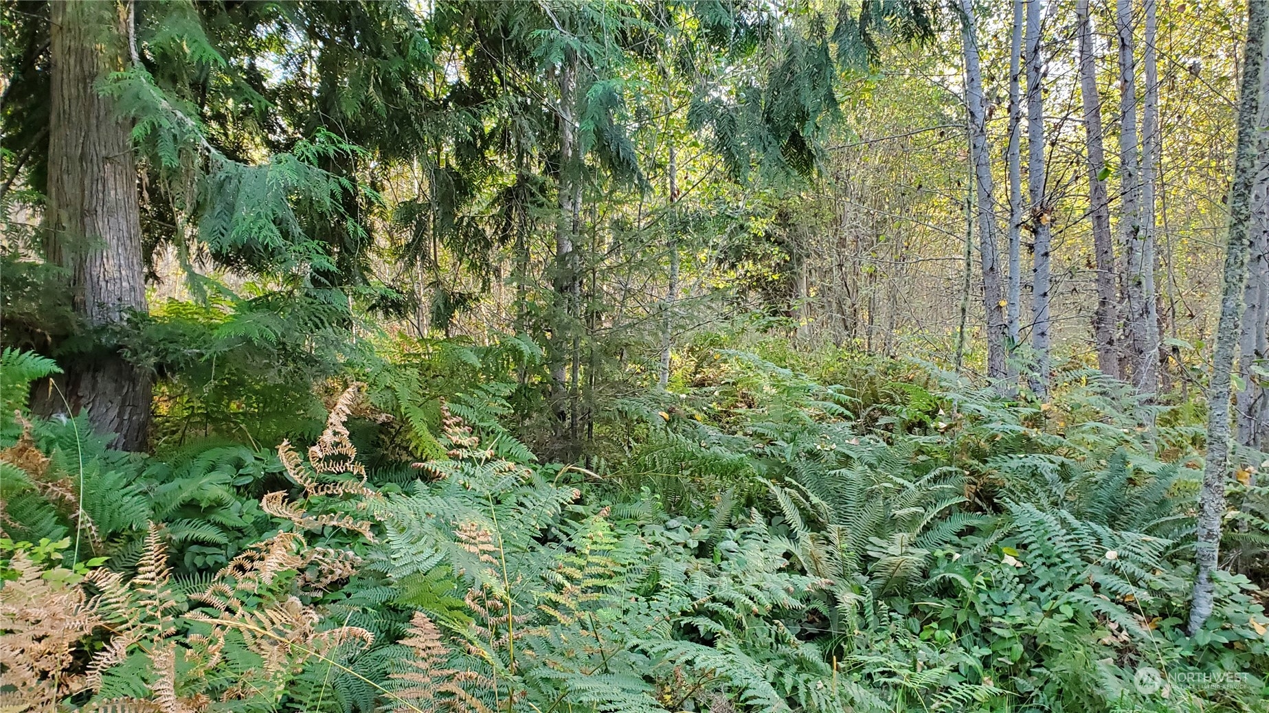 10 Grand Ridge Way Port Angeles, WA 98362 - Photo 13 of 29 Gallery Image 13