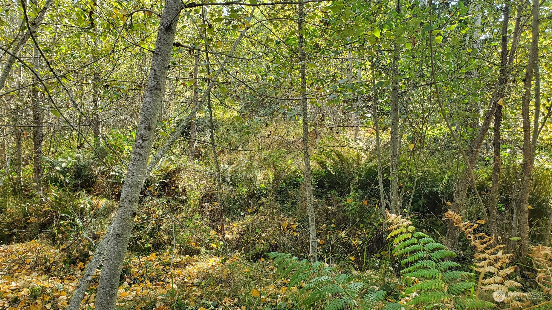 10 Grand Ridge Way Port Angeles, WA 98362 - Photo 14 of 29 Gallery Image 14