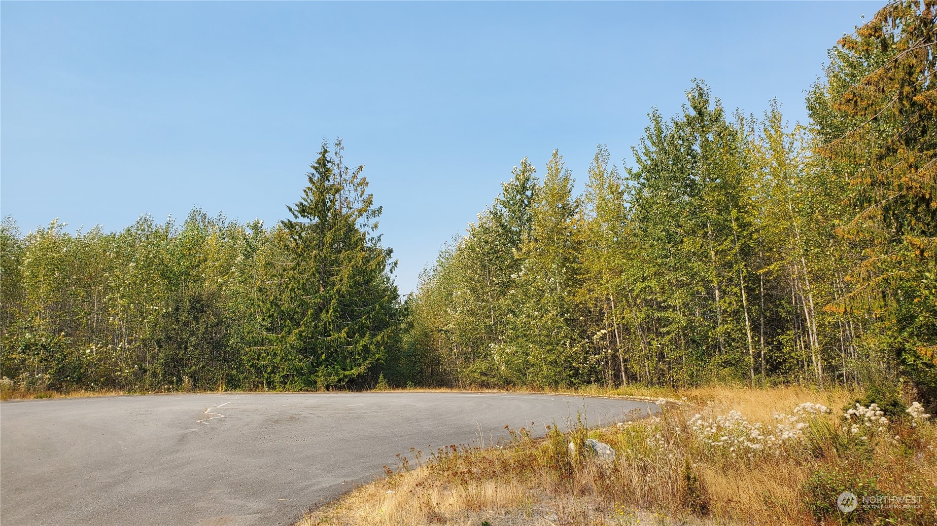 10 Grand Ridge Way Port Angeles, WA 98362 - Photo 7 of 29 Gallery Image 7