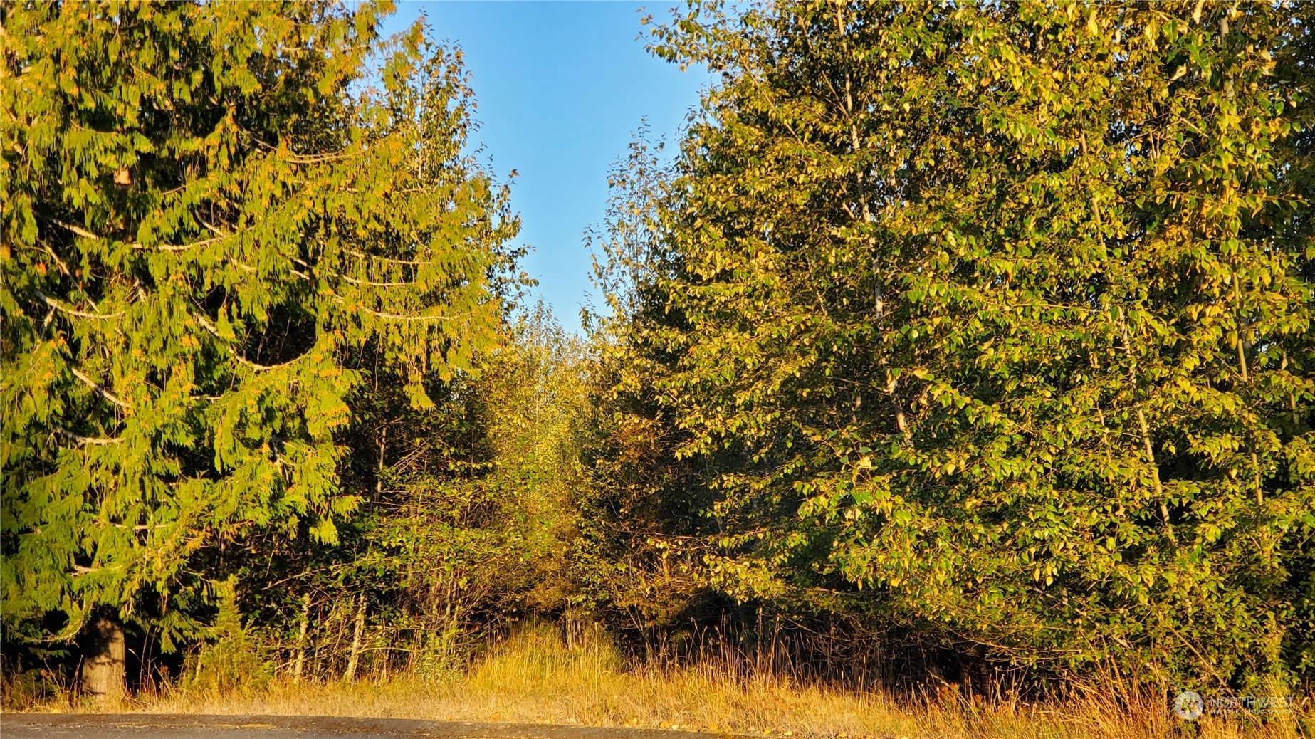 10 Grand Ridge Way Port Angeles, WA 98362 - Photo 9 of 29 Gallery Image 9