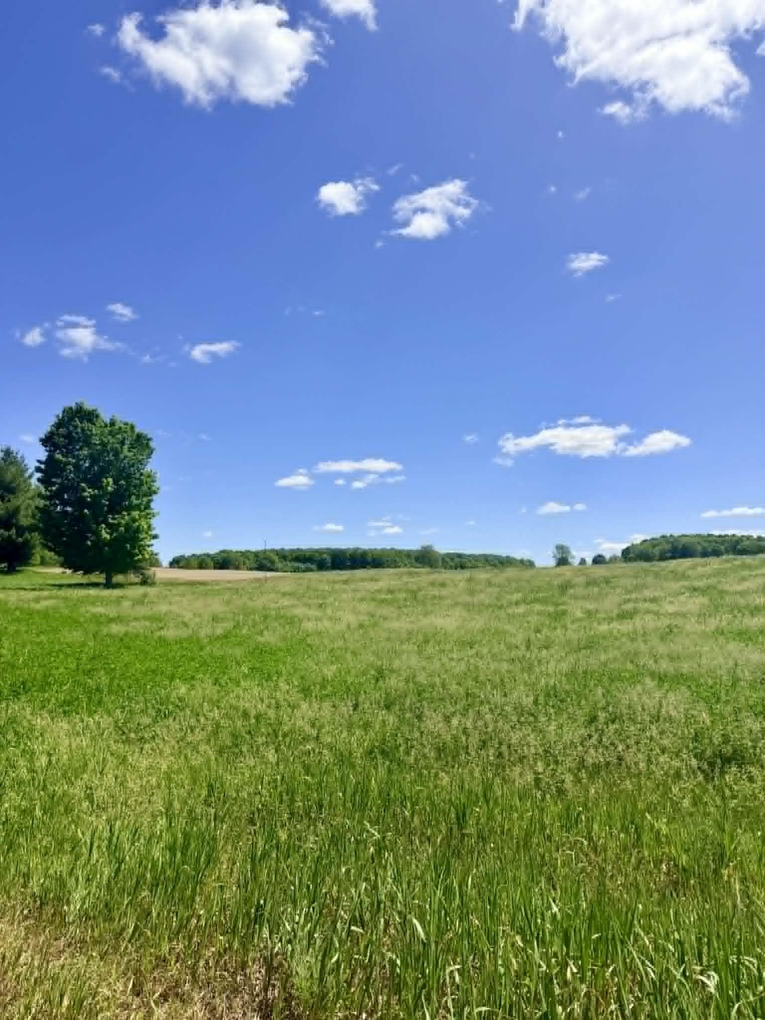 196 East Center Road Kingsley, MI 49649 - Photo 59 of 68