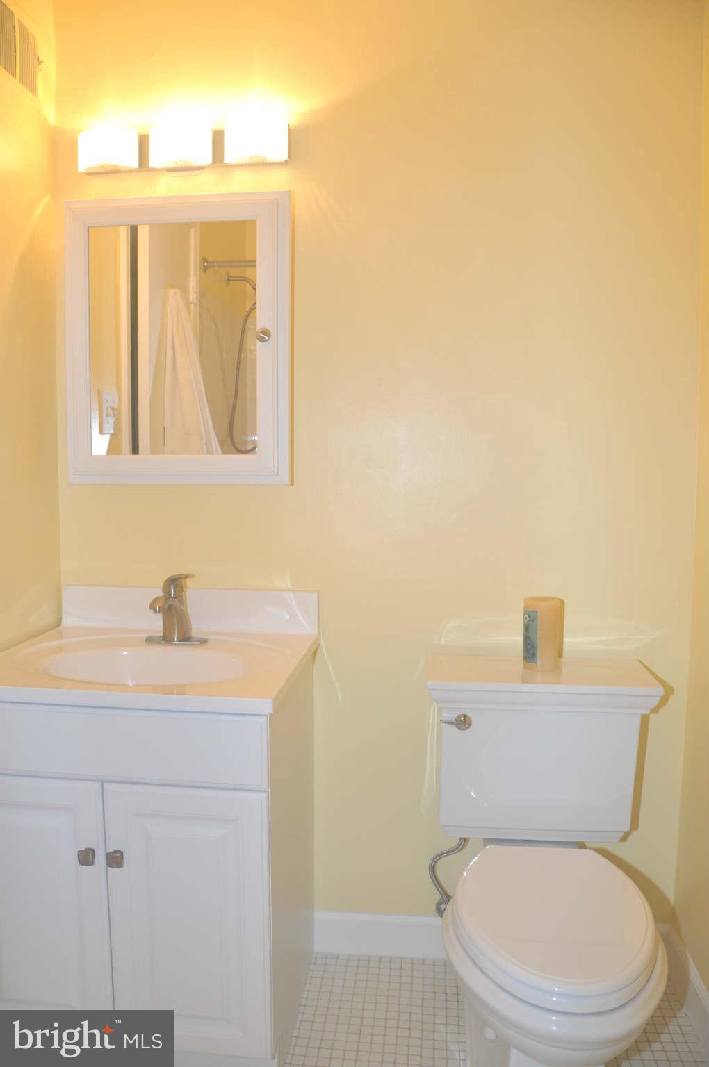 12405 Melmark Court Reston, VA 20191 - Photo 18 of 30 a bathroom with a toilet a sink and mirror