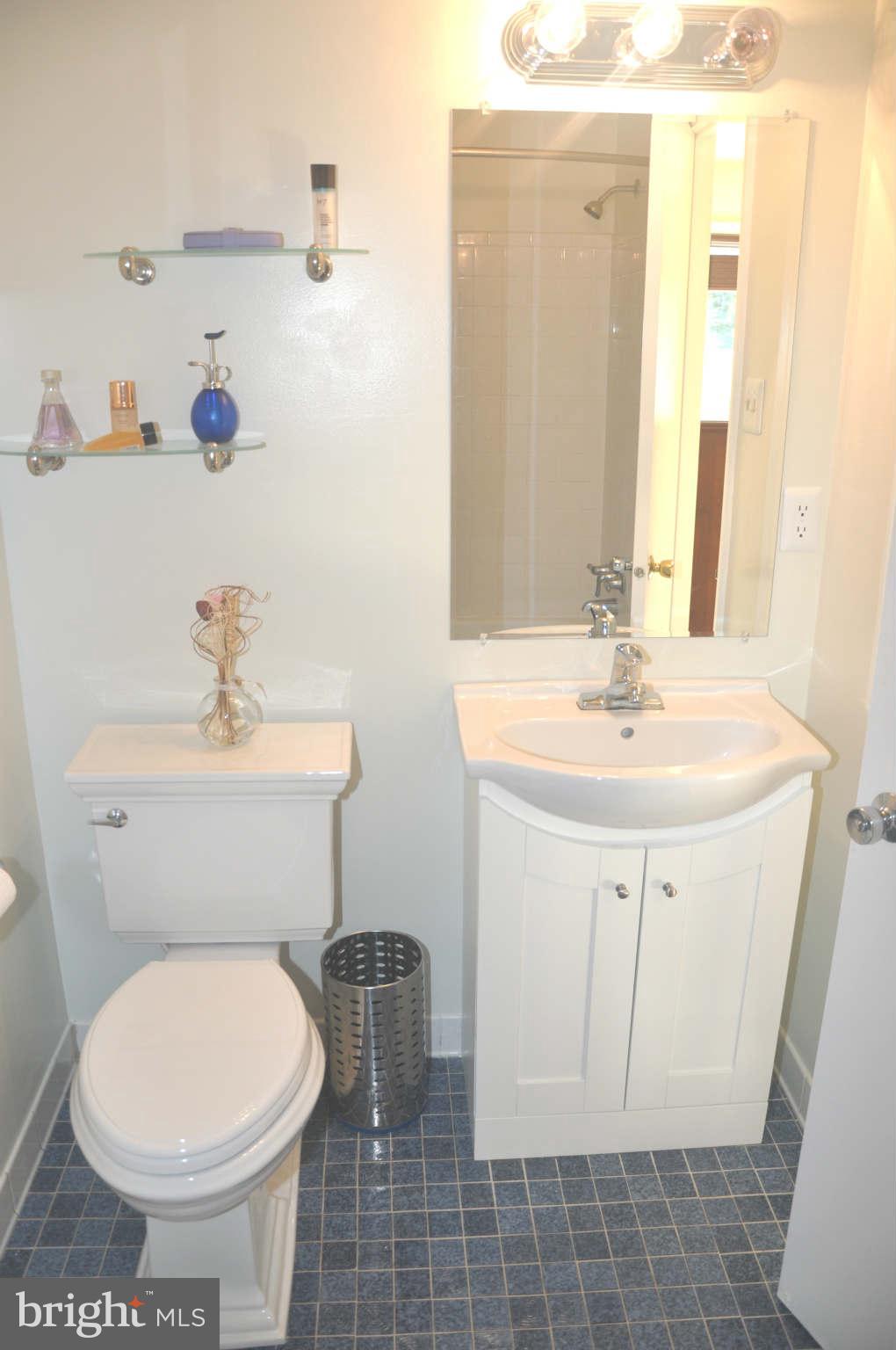 12405 Melmark Court Reston, VA 20191 - Photo 10 of 30 a bathroom with a sink a toilet and mirror